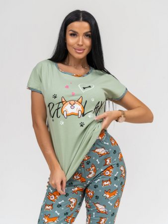 Корги(олива) футболка+бриджи