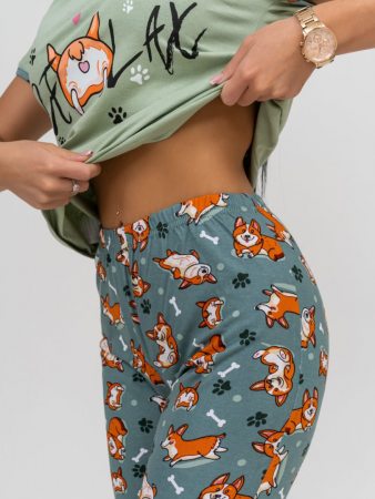 Корги(олива) футболка+бриджи